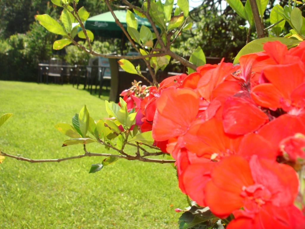 Tegna Hotel Al Fiume חדר תמונה