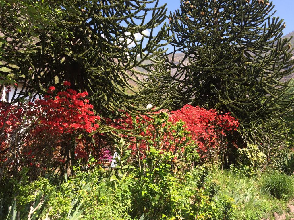Tegna Hotel Al Fiume מראה חיצוני תמונה